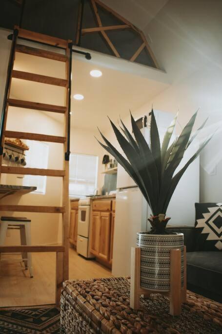 Agave Tiny House At Cactus Flower-Hot Tub-Pet Friendly-No Pet Fees! 앨버커키 외부 사진