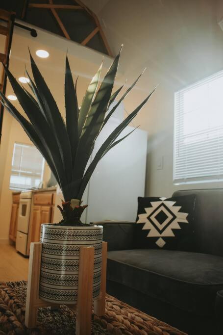 Agave Tiny House At Cactus Flower-Hot Tub-Pet Friendly-No Pet Fees! 앨버커키 외부 사진