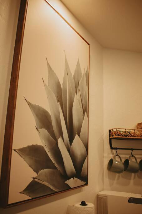 Agave Tiny House At Cactus Flower-Hot Tub-Pet Friendly-No Pet Fees! 앨버커키 외부 사진